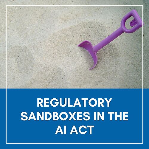 Regulatory sandboxes in the AI Act reconciling innovation and safety?
